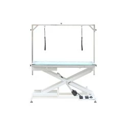 Pet-Agree Premium LED Lighted Electric Table - 48"