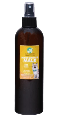 Bath And Brush Mysterious Male - 4.5 Oz