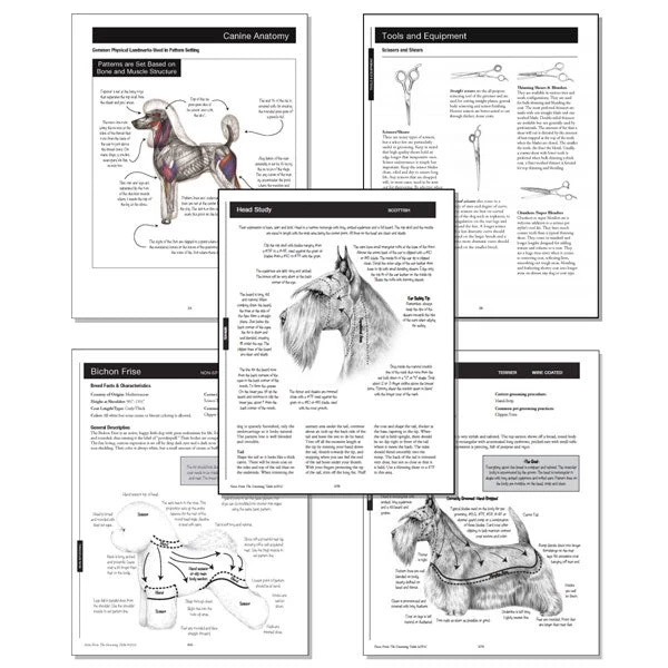 Notes From The Grooming Table - Second Edition - Image 3