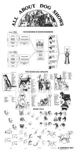 Breed Posters - Dog Show (18" X 36")