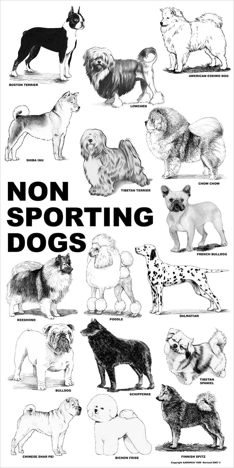 Breed Posters - Non Sporting Dogs (18" X 24")