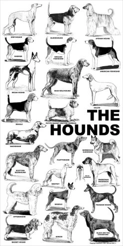 Breed Posters - The Hounds (18" X 36")