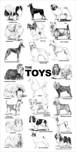 Breed Posters - The Toys (18" X 36")